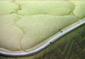 Bed Bugs Crawling On Mattress