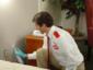 Orkin Bed Bugs Treatment Fixtures