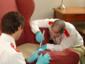 Orkin Men Bed Bug Treatment Chair