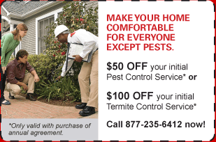 Make Your Home Comfortable for Everyone Except Pests: Orkin Coupon