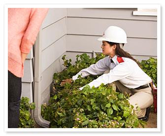 Orkin woman inspecting ivy with a homeowner