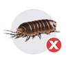 Sowbugs