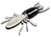 drywood termite