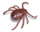 Tick Illustration