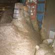 Large Wasps Nest