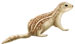 13-Lined Ground Squirrels