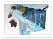 Leaf Stopper by Orkin Pest Control