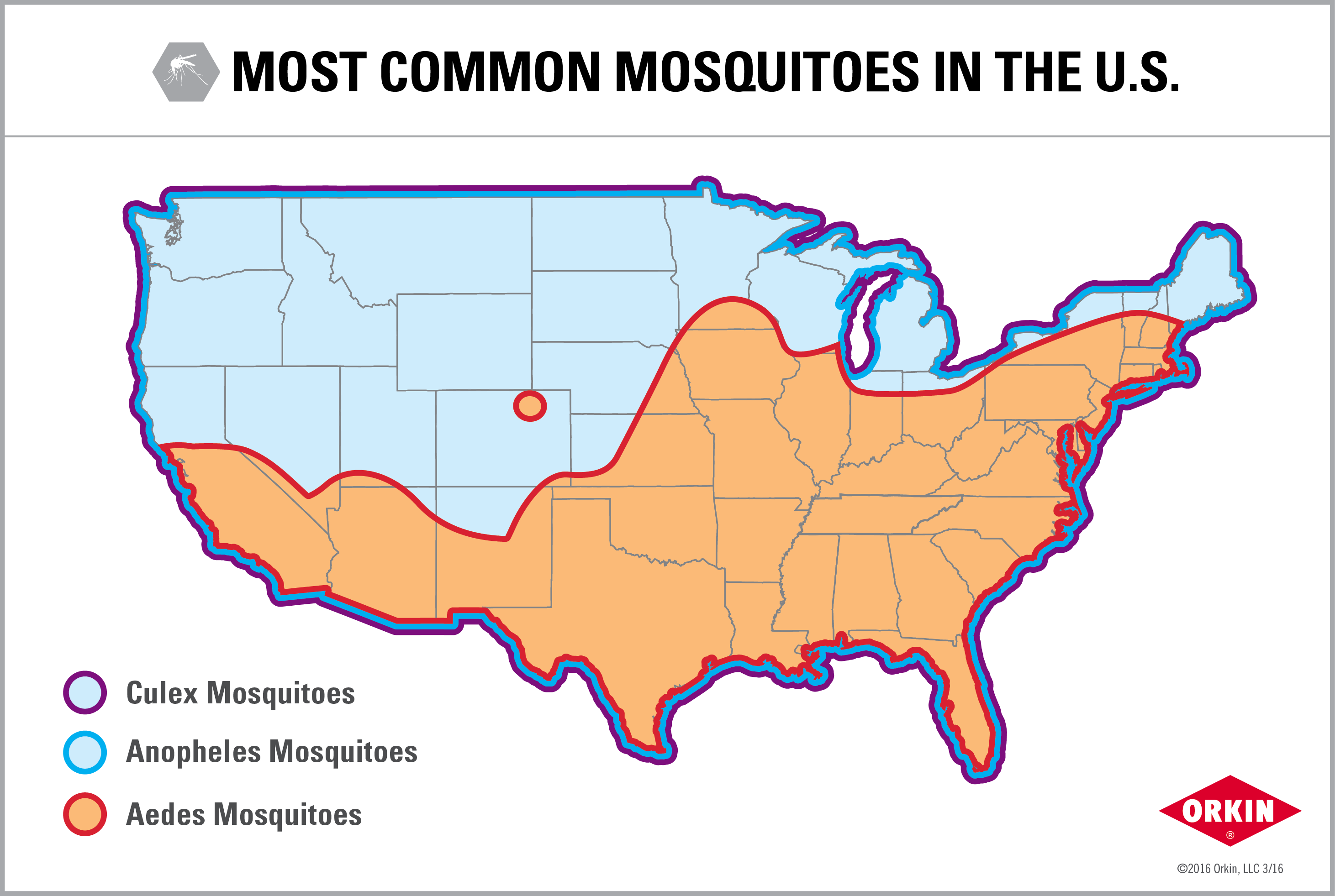 Orkin Top 50 Mosquito Cities 2024 Kippy Merrill