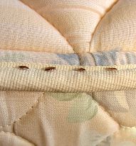 colchon con chinches de cama
