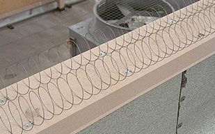 bird control methods