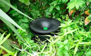 mosquito prevention services