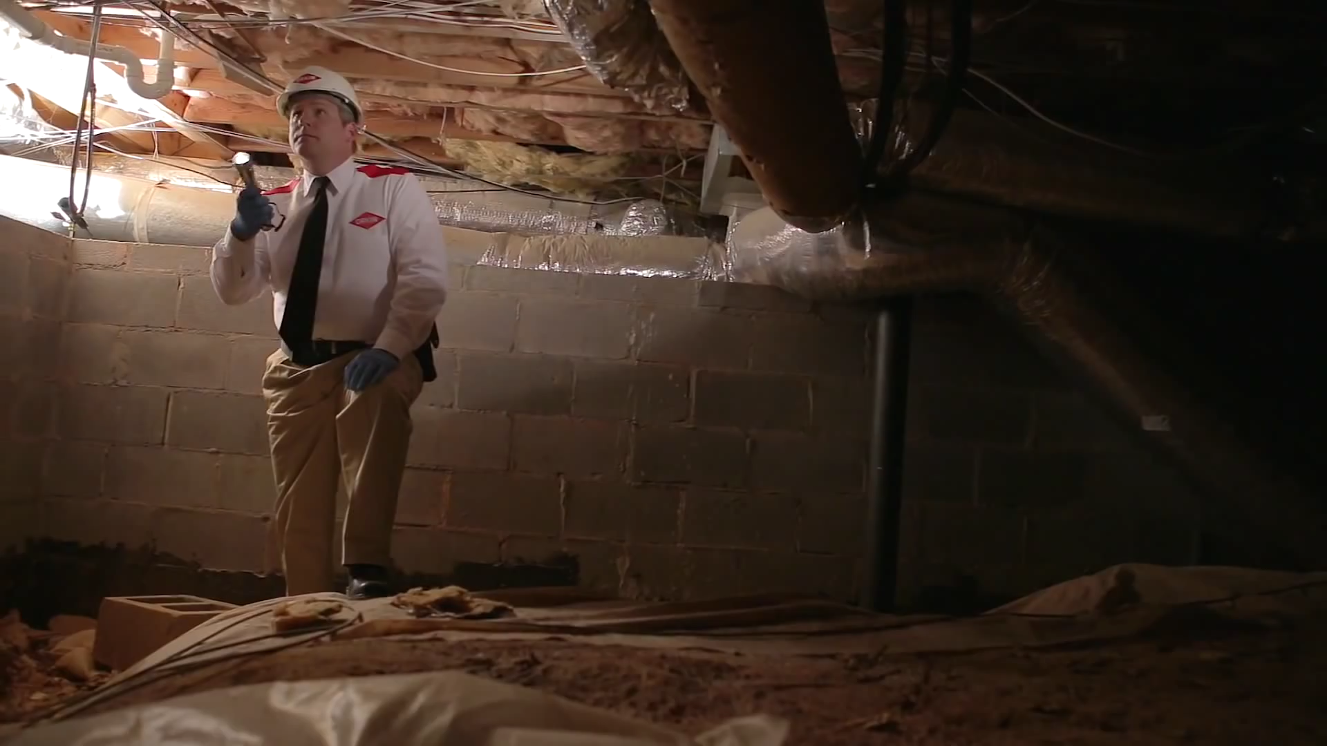 Orkin Termite Control How to Get Rid of Termites