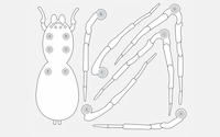 science education image