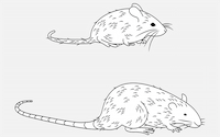 science education image