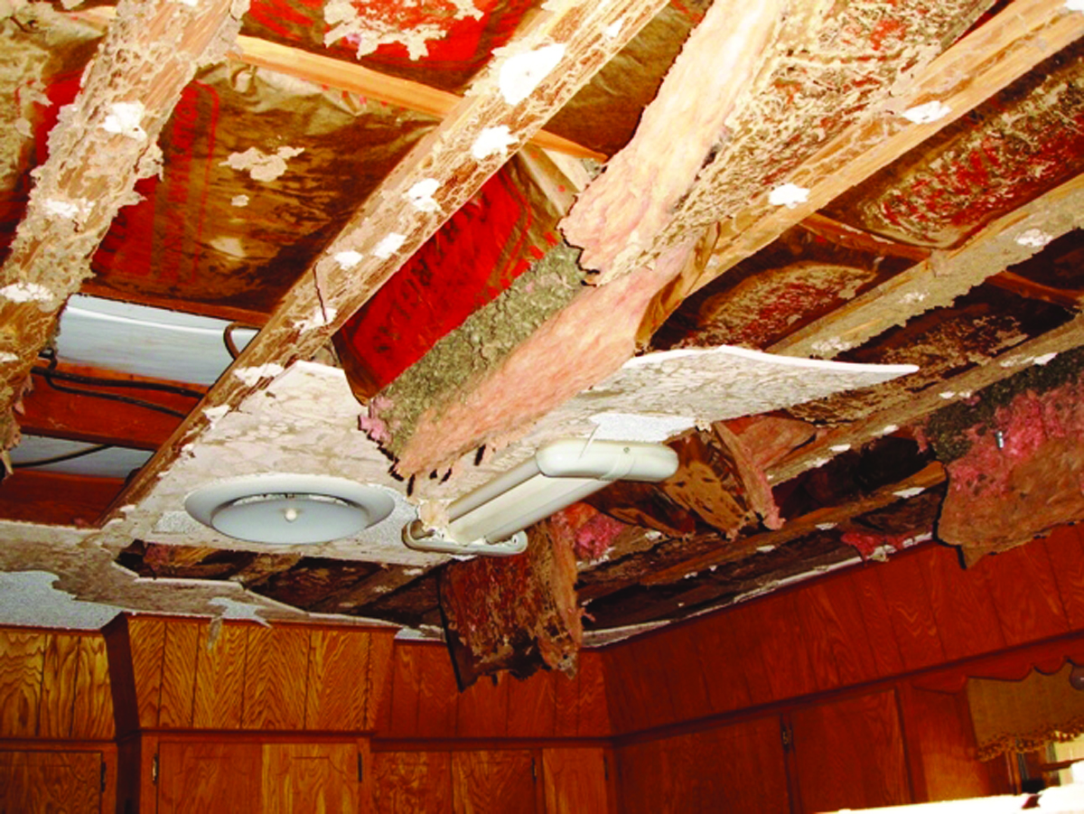 Termite Ceiling Damage Termites In Ceilings