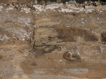 Termites Damage