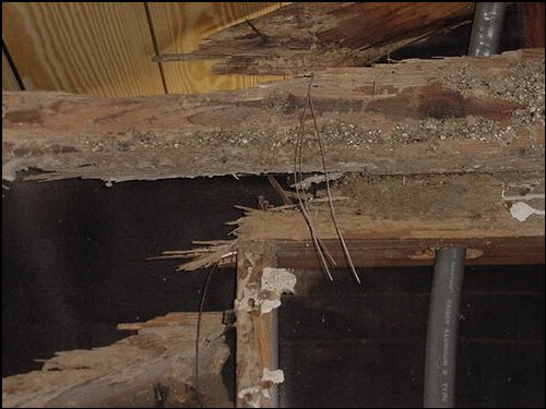 picture of wood rafter damage