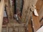 Termite Damage To Rafters